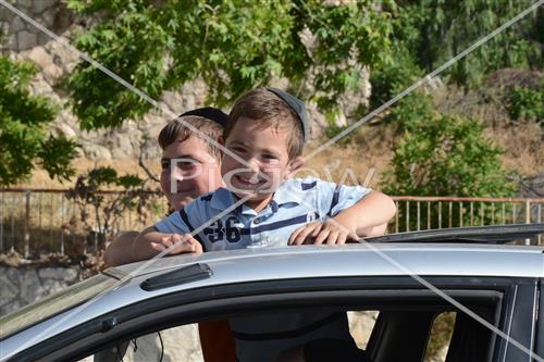 אסיפת עצים לל"ג בעומר