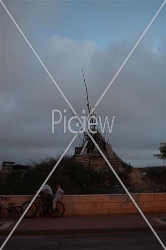 אסיפת עצים לל"ג בעומר