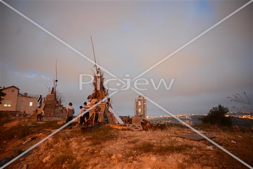 אסיפת עצים לל"ג בעומר