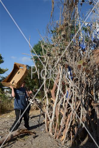 Collecting trees for Lag B'Omer