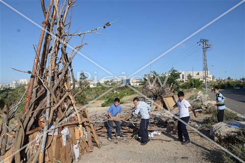 אסיפת עצים לל"ג בעומר