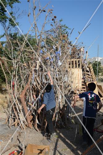 Collecting trees for Lag B'Omer