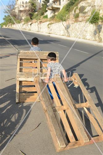 אסיפת עצים לל"ג בעומר