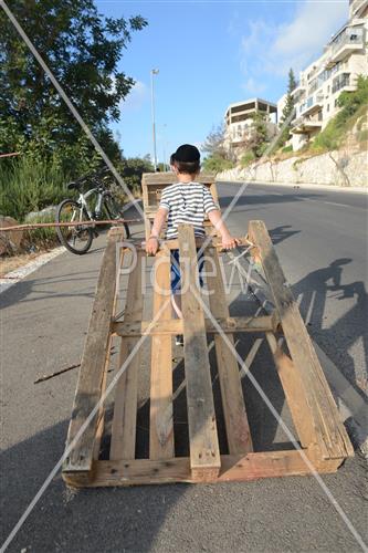 Collecting trees for Lag B'Omer