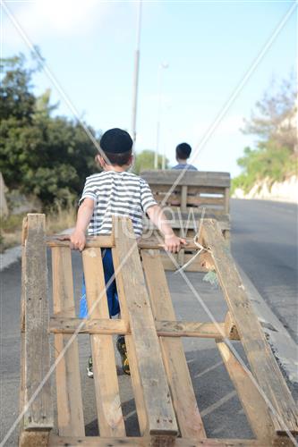 אסיפת עצים לל"ג בעומר