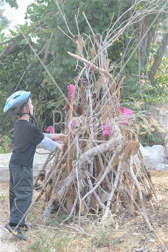 Collecting trees for Lag B'Omer