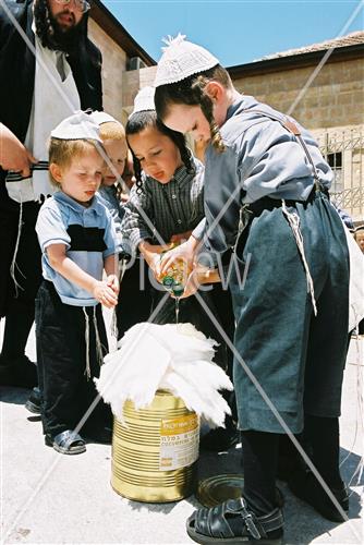 Lag Ba'Omer bonfire