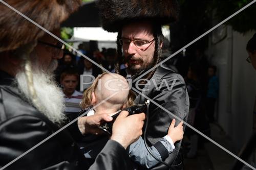 ל"ג בעומר בציון שמעון הצדיק