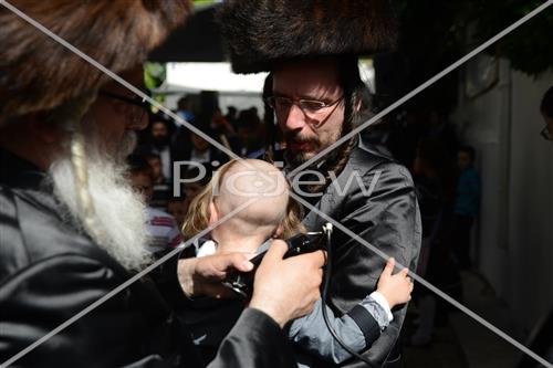 ל"ג בעומר בציון שמעון הצדיק