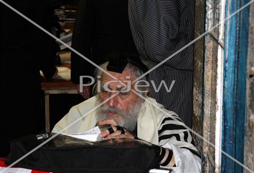 Rabbi Stern Shlita