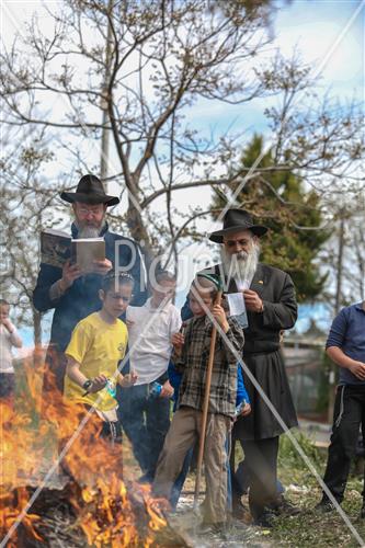 Burning of Chametz