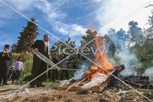 שריפת חמץ