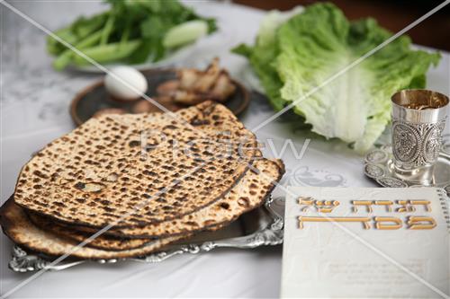 Passover plate