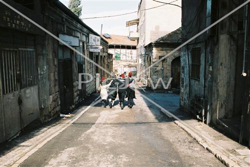 פורים במאה שערים