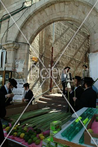 ארבעת המינים