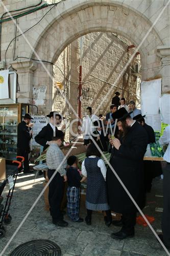 ארבעת המינים