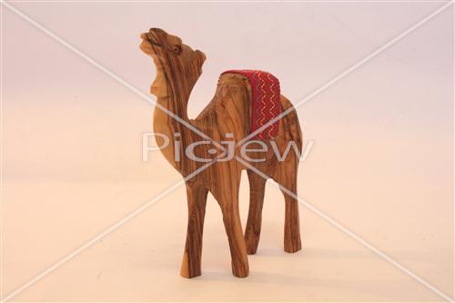 Camels