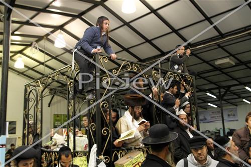 Rosh Hashana in Uman