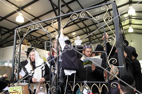 Rosh Hashana in Uman