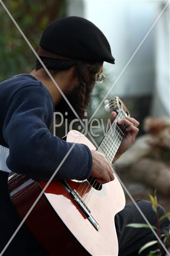 Guitarist