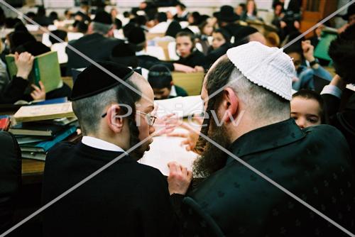 לימוד תורה