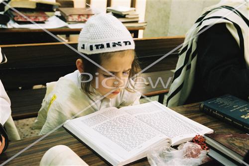 קריאת מגילת פורים