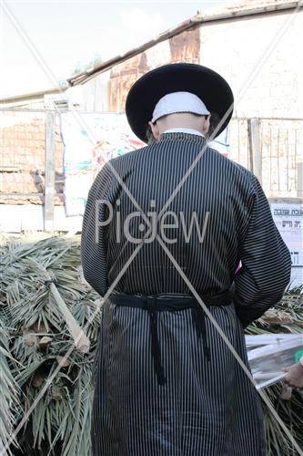 Sukkot