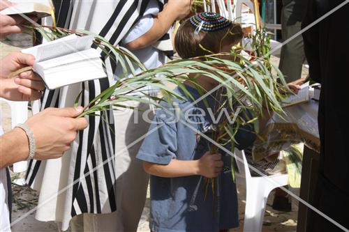 Sukkot