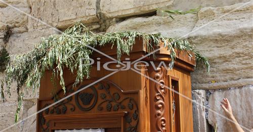 Sukkot