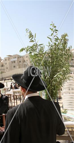 Sukkot