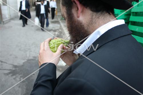 Sukkot