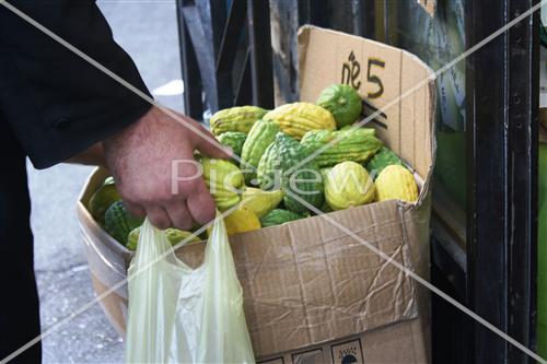 sukkot