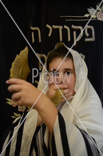 shofar