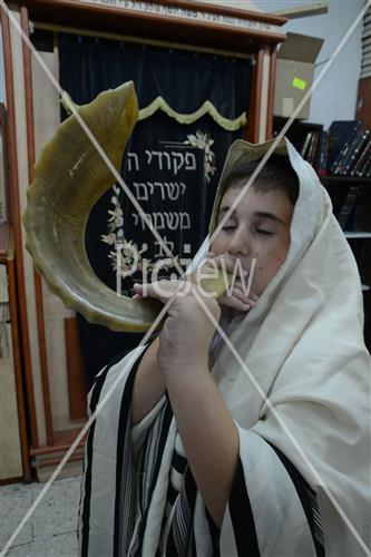 shofar