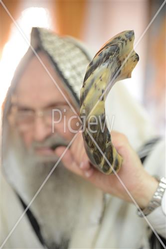 shofar