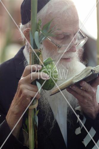 מנהג הקפות