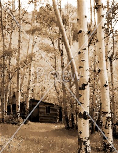 forest