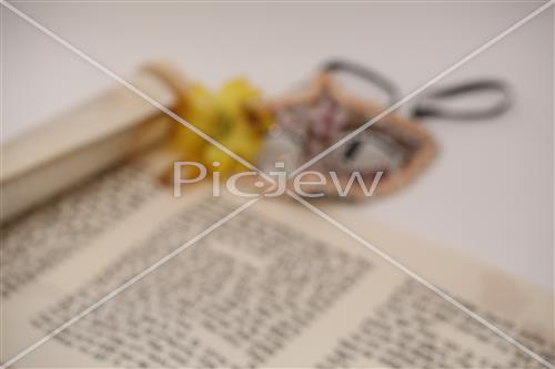 Book of Esther