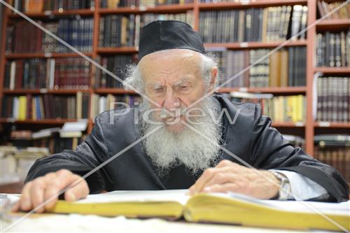 הרב גרשון אדלשטיין