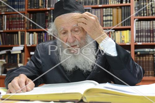 הרב גרשון אדלשטיין
