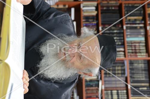 הרב גרשון אדלשטיין