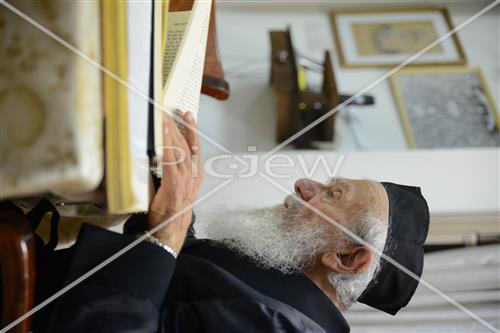 הרב גרשון אדלשטיין