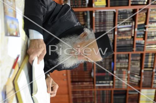 הרב גרשון אדלשטיין
