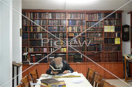 הרב גרשון אדלשטיין