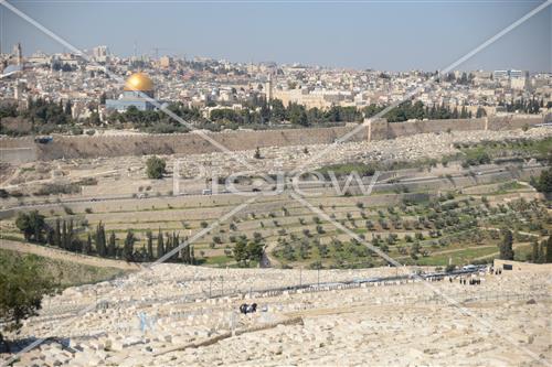  Mount of Olives