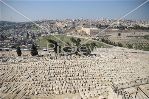 הר הזיתים