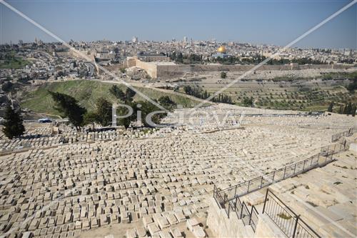 הר הזיתים