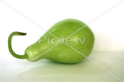 חגים