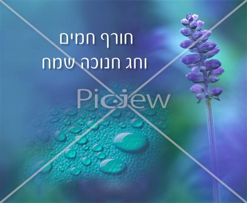 חג חנוכה שמח