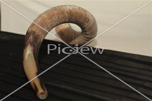 shofar